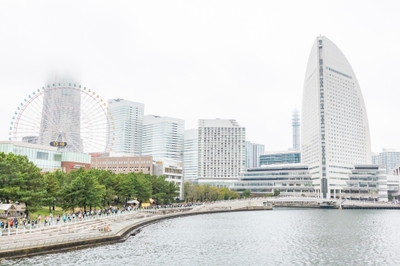 OCuBjwatu7pQqIHghK5l.jpg?w=940&h=940