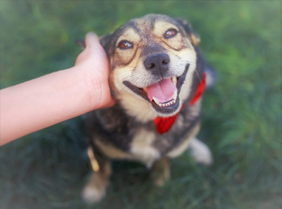 ODbguZPQMCLZFhiDAAj2.jpeg?w=940&h=940