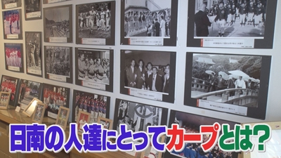 ODe4b9ghp5yIXop1VLUB.jpg?w=940&h=940