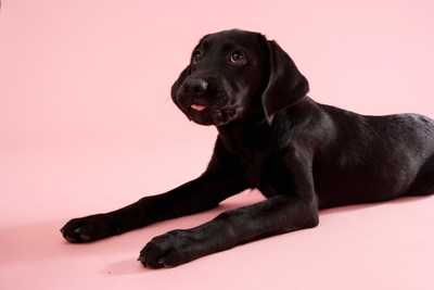 OEOazR5jQu2z41XibE9S.jpg?w=940&h=940