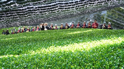 OESilqftaO2yCHFSd6lm.jpg?w=940&h=940