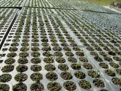 OFlWzj6vkOq14EAZTbRR.jpg?w=940&h=940