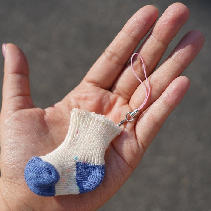 手のひらサイズのプチックス