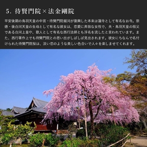 OH111x6zs8JJouhB6KOs.jpg?w=940&h=940