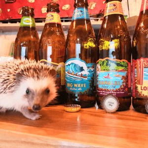 OH6FgxPMpJoBjdAiCeNU.png?w=940&h=940