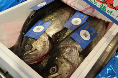 OHu3AnEurC3O07hpT1tD.jpg?w=940&h=940