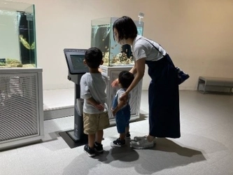 「海の中にいるみたい！」と70％以上の来館者が回答　 新たな視覚体験価値を生み出す実証実験＠ニフレル　結果公開