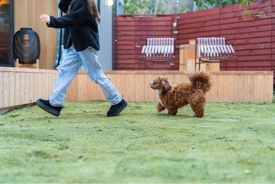 プライベートドッグラン