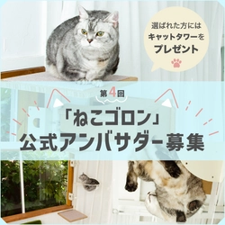 窓枠につけるキャットタワー『ねこゴロン』 Instagramにて第4回公式アンバサダーを 3月22日から3月31日まで募集！