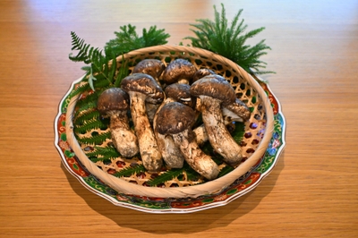 OJpFrWbt48gFRkm730mg.jpg?w=940&h=940