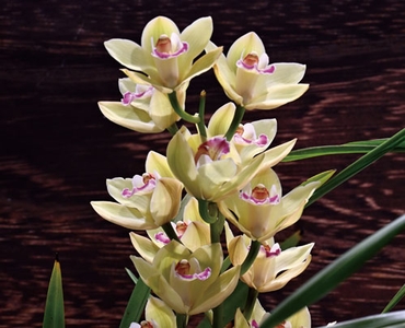 OKIj7LibF10XVJgShsMY.jpg?w=940&h=940