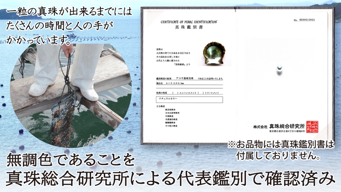 無調色は代表鑑別で確認済