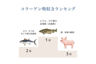 OLCHLFOZ0tXQQO9UBnzN.jpg?w=940&h=940