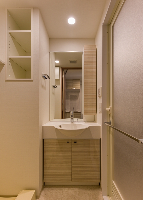 B1タイプ 洗面室