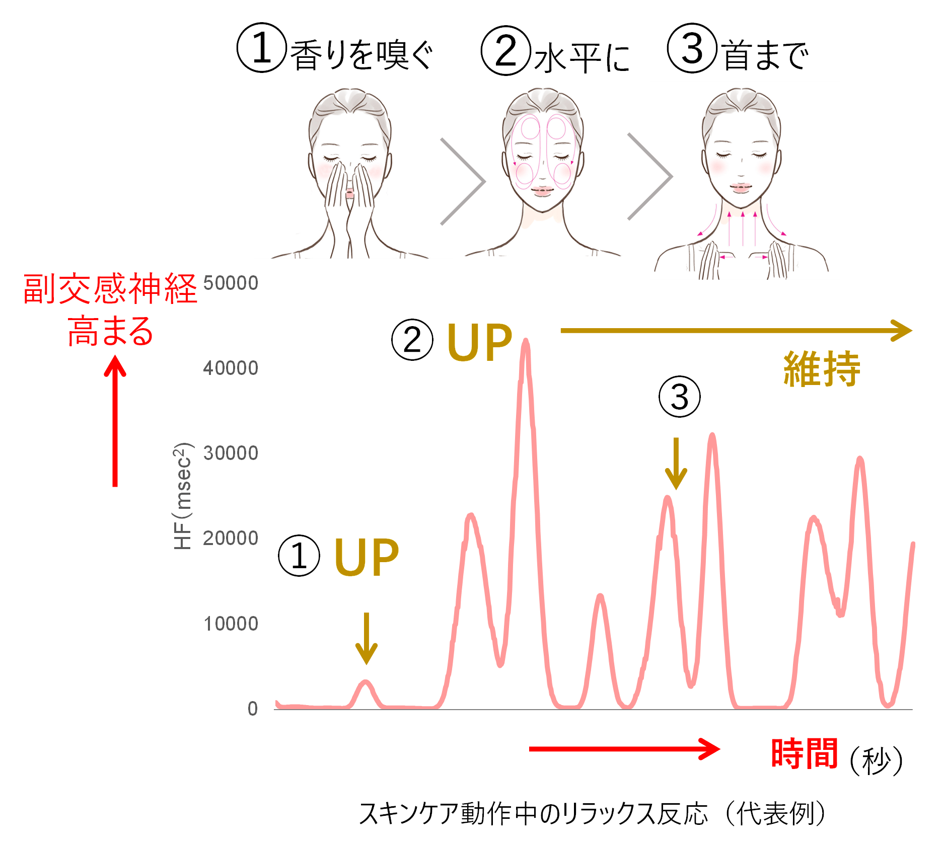 研究② 肌修復機能を高める「スキンケアメソッド3要素」