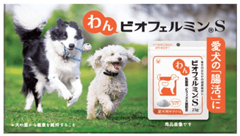 「わんビオフェルミンS」、「にゃんビオフェルミンS」を
東海地区最大級のペットイベント「わんにゃんドーム2026」に初出展
