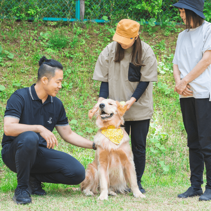 ドッグトレーナーと遊べる