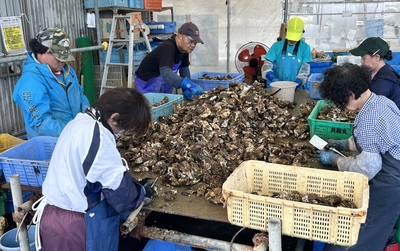 OM9Gm6i9aWnsM9YTmQxy.jpeg?w=940&h=940