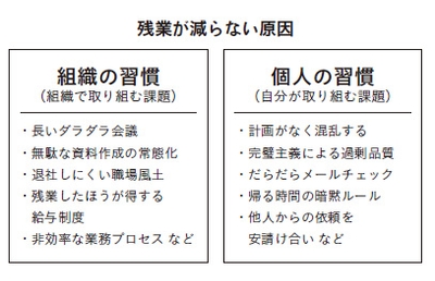 OMVMMs2j3RL5zOGD6Ok3.jpg?w=940&h=940