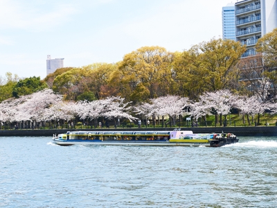 OMsYb4AMiWKUKXB7J9Rj.jpg?w=940&h=940