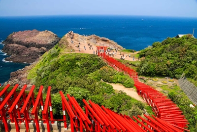 ONT1VeKH7nZxjLgpjSwD.jpg?w=940&h=940