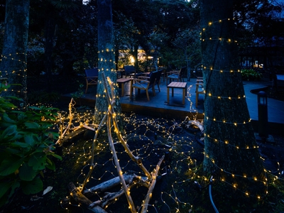 湘南の宝石 (2022 年11月)