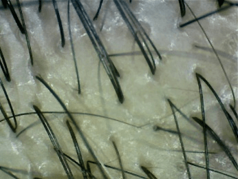 ONuHzvzDtc9cx6HKZVTh.png?w=940&h=940