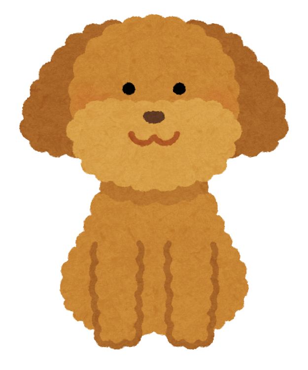 NEWSCASTスタッフおすすめのわんちゃん3選