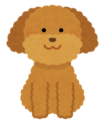 NEWSCASTスタッフおすすめのわんちゃん3選