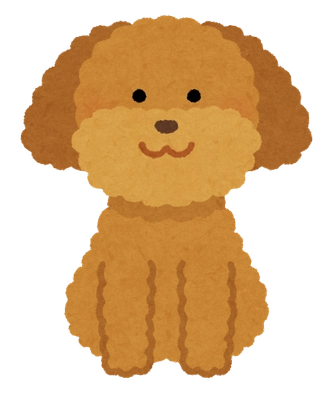 NEWSCASTスタッフおすすめのわんちゃん3選