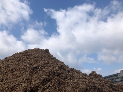 OPSdYuTxtpQzySwvHWm8.jpg?w=940&h=940