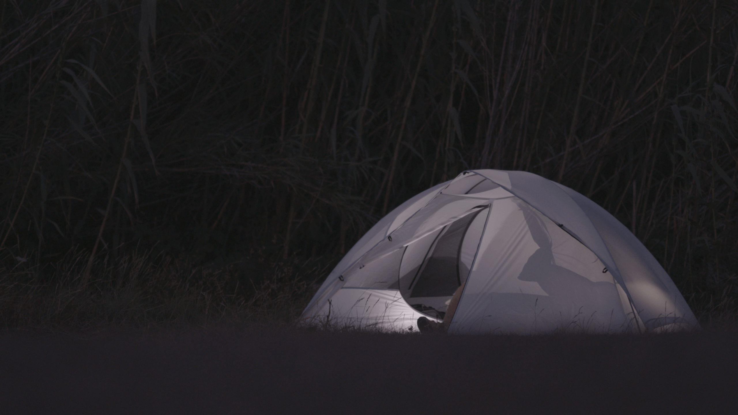 ハンモック泊もタープにも変身可能な 一石六鳥多機能テント「BELUGA（ベルーガ）」日本デビュー