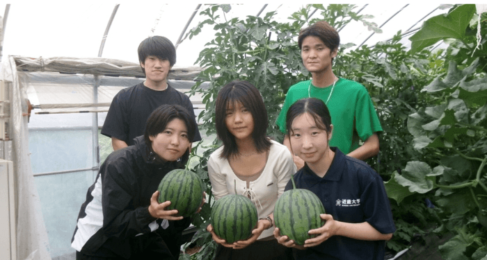 「なら近大農法」で学生が栽培した「近大ICTスイカ」を奈良・大阪の2店舗で数量限定販売