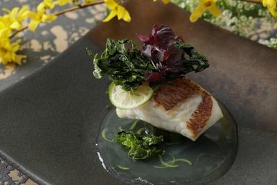 OSG4FDzQ1rnSHjbol5pJ.jpg?w=940&h=940