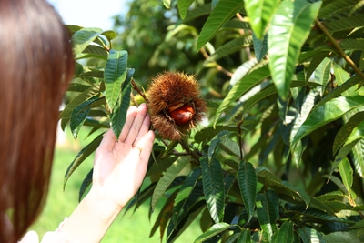 OSVnH7VLDEfOsWI63lNd.jpg?w=940&h=940