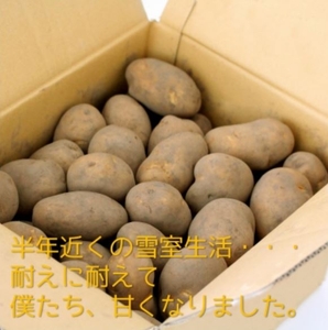 OUgWC99sWZHY7bH7Tw2y.jpg?w=940&h=940