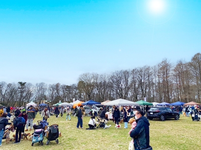 OV6VcbJ0lZ7pwTvWMT8n.jpg?w=940&h=940