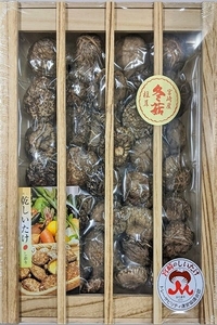 OVPVpR8zleaiq6gx7wX8.jpeg?w=940&h=940