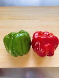 信州の伝統野菜「ぼたんこしょう」オンライン料理体験【長野県中野市】