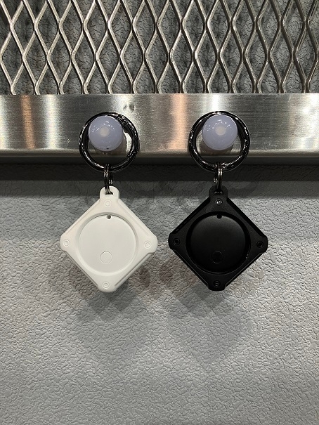 ローシャルタグ