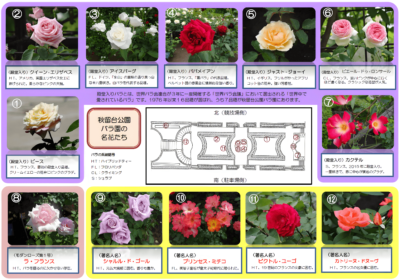 リーフレットの様子