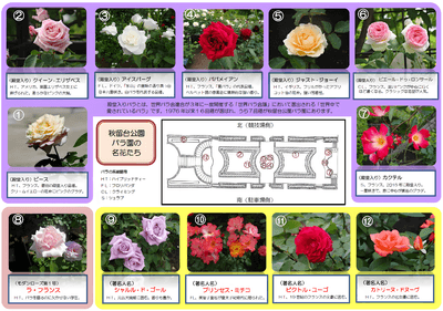 リーフレットの様子