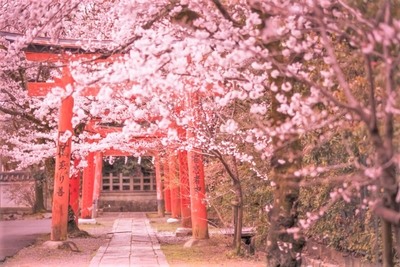 OXYsbni5GaKanCv9wvmp.jpg?w=940&h=940