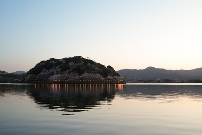 艸花からみたはなれ湖公園のライトアップ