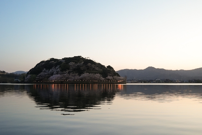 艸花からみたはなれ湖公園のライトアップ