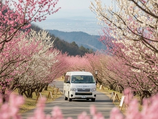 Oyxmmwqrlfr7vedmmbki