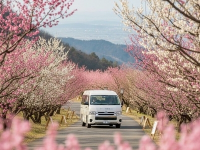 OYxmMwqRLfR7veDmMBKI.jpg?w=940&h=940