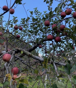 OZR7lL6p8BLnA83qghn3.jpg?w=940&h=940