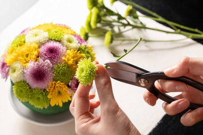 OZYmN2bHeS5LjIXc2kyZ.jpg?w=940&h=940