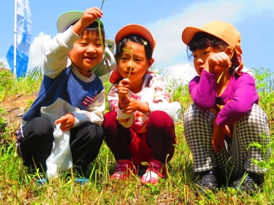 Oa8u0oKnS27Gzzw8HNXk.jpg?w=940&h=940